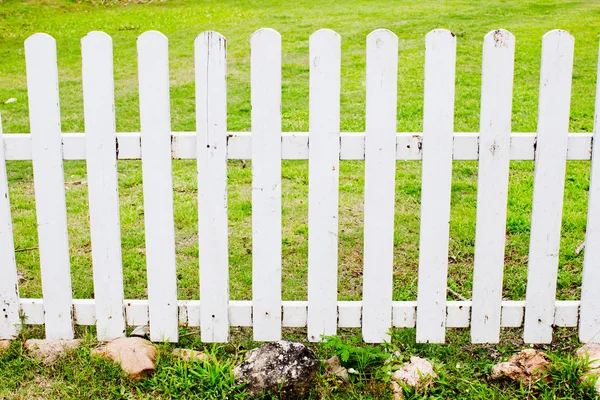Beyaz çit ile yeşil çimen — Stok fotoğraf