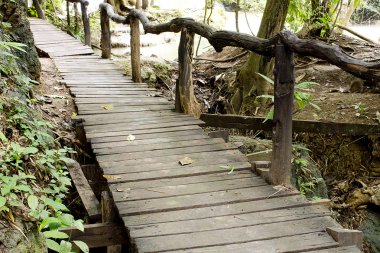 patika orman yoluyla ahşap plakalar