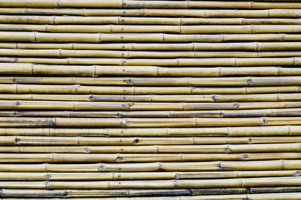 Bambusowy płot tło — Zdjęcie stockowe