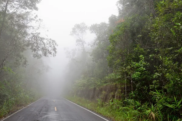Дорога через лес - Дорога со смогом — стоковое фото