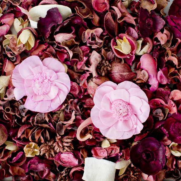 Dried flowers composition — Stock Photo, Image