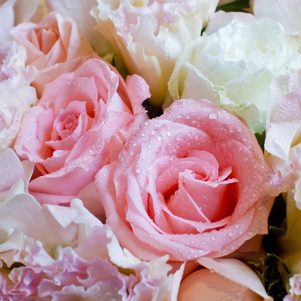 Close up on rose — Stock Photo, Image