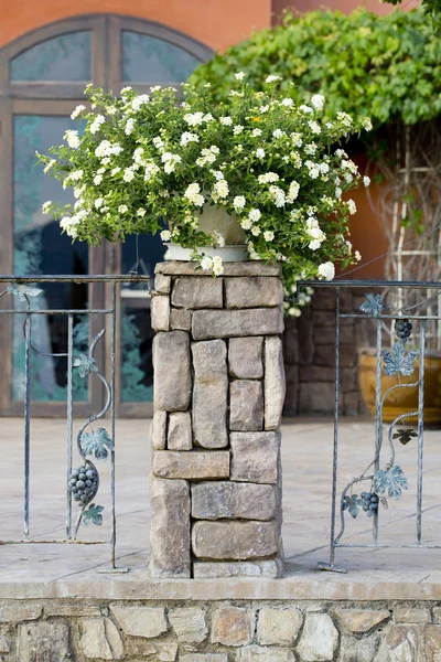 Bloempotten en kamerplanten op het balkon — Stockfoto