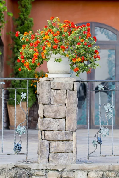 Цветочные горшки и растения на балконе — стоковое фото
