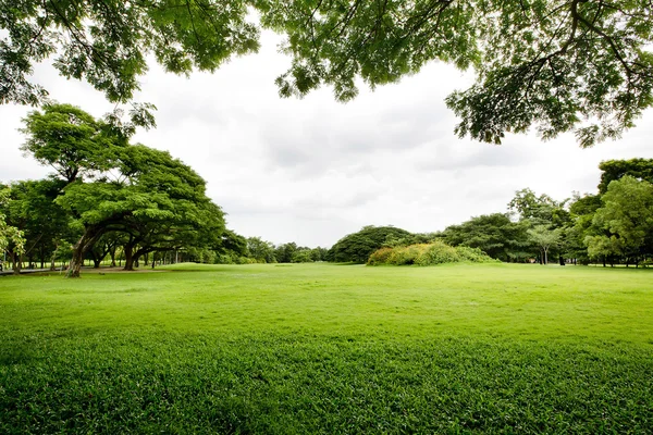 Voorjaar Landschap achtergrond — Stockfoto