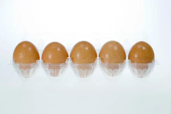 新鲜的鸡蛋 — 图库照片