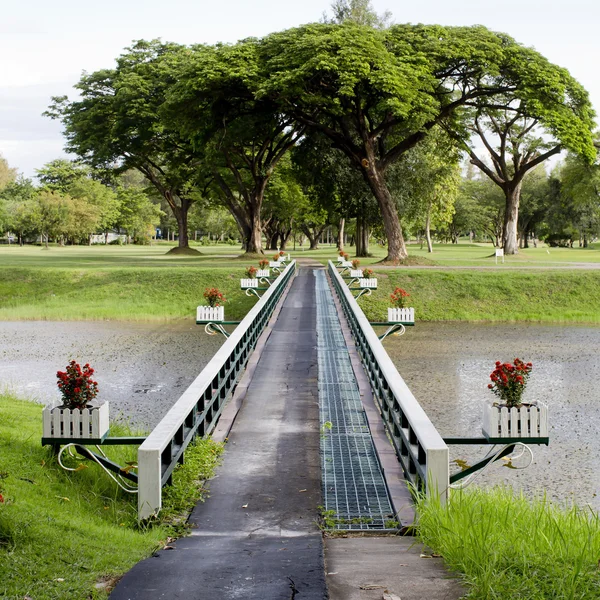 明るい森の中の橋。自然の構成 — ストック写真