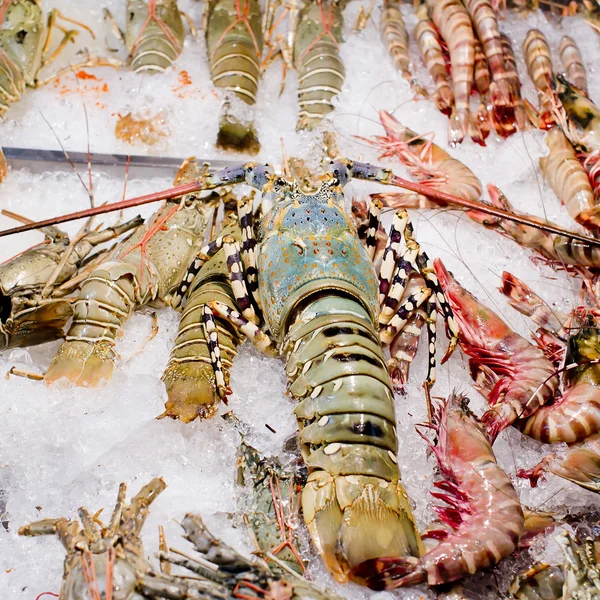Fresh seafood arrangement displayed in market, ready to cook. — Stock Photo, Image