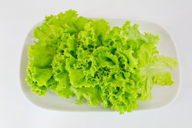 Beyaz arka planda taze yeşil marul.