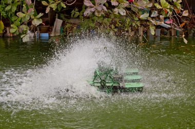 Havuzda su ve aerator türbin eylemi durdurmak