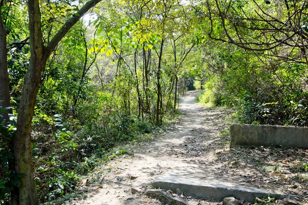 Camino a través del parque — Foto de Stock