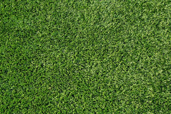 Zöld fű háttér textúra. — Stock Fotó