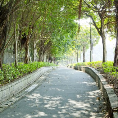 Bahçede peyzaj. Bahçedeki patika.