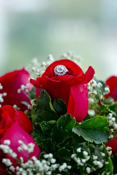 Set of wedding rings in red rose taken closeup. Stock Photo