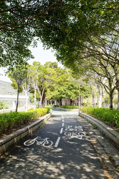 Path through the park — Stock Photo, Image