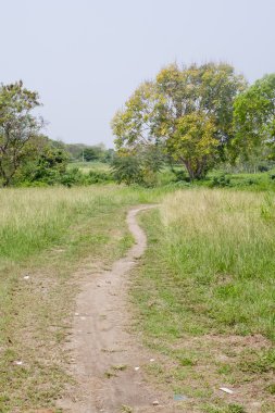 Yoğun otlar geçerken iz