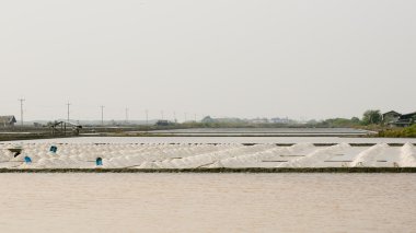 Tayland tuz tavada tuz Dağı.