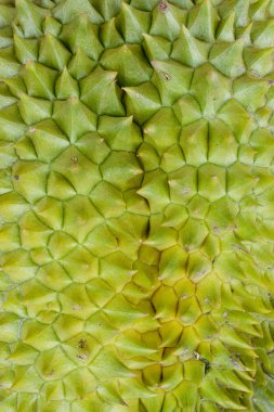 durian cilt yakın çekim