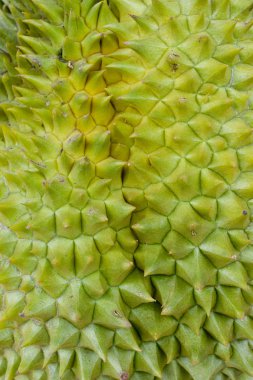 durian cilt yakın çekim