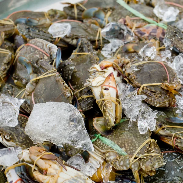 Raw blue crab - ready to sell in market. — Stock Photo, Image