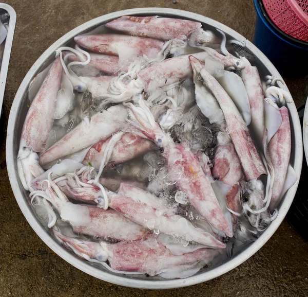 Calamari freschi pronti per la vendita sul mercato — Foto Stock