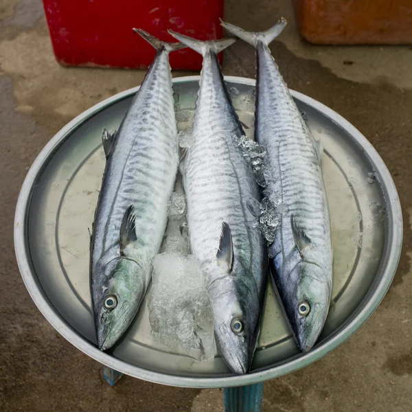 Pesci freschi al mercato del pesce — Foto Stock