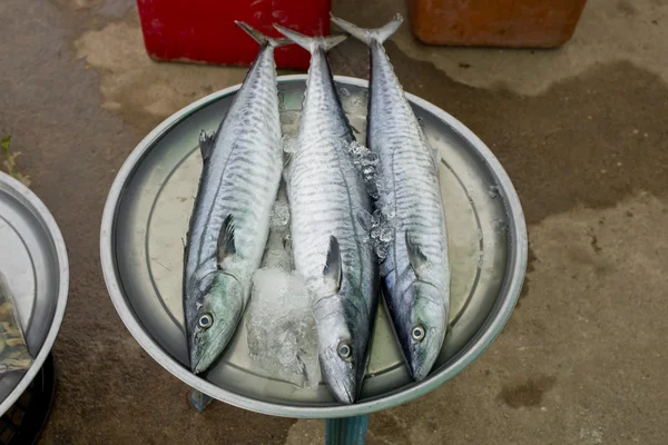 魚市場で新鮮な魚 — ストック写真