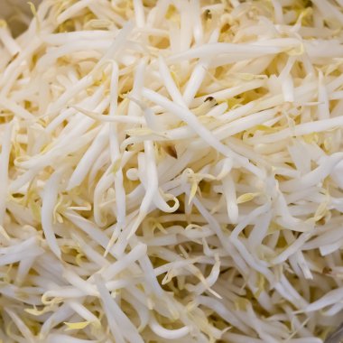 fasulye filizi arka plan dokusu