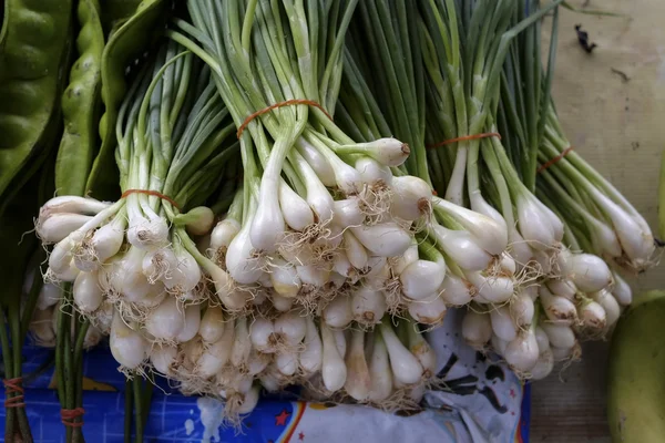 Freshly harvested spring onions ready to sell at market — Stock Photo, Image