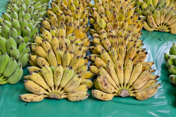 Μάτσο ώριμες μπανάνες — Φωτογραφία Αρχείου