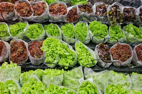Fresh lettuces in supermarket — Stock Photo, Image