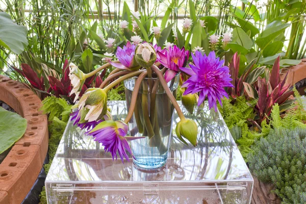Floristry Pink and purple lotus flowers in glass vase. — Stock Photo, Image