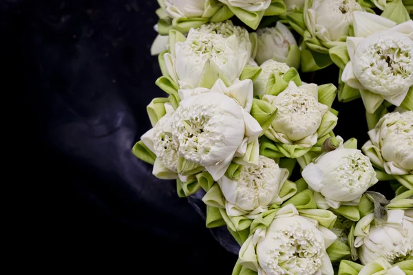 Floristry white lotus flowers in vase. — Stock Photo, Image