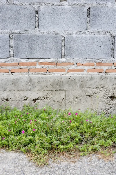 Mur z cegły z drzewa tło — Zdjęcie stockowe