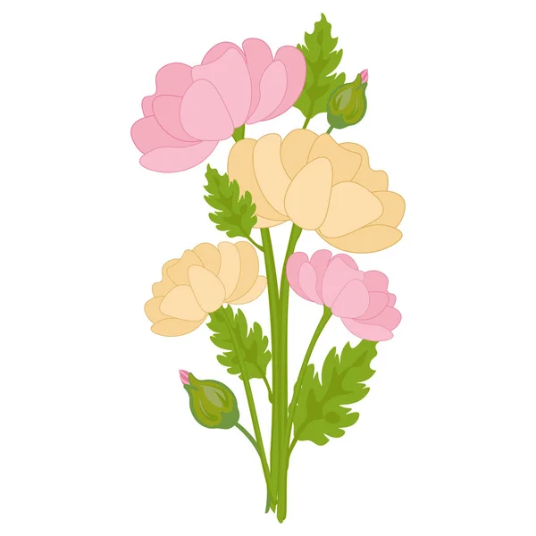 Elle çizilmiş bir buket narin çiçek. Pembe ve sarı çiçekler ve tomurcuklar. — Stok Vektör