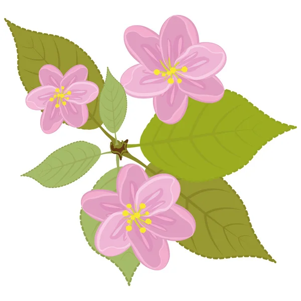 Fragment gałązki kwitnącego drzewa z liśćmi. Różowe kwiaty — Zdjęcie stockowe