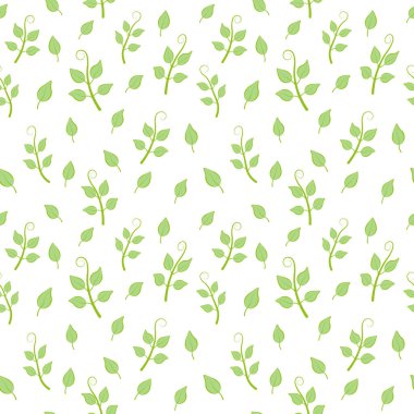 Beyaz arka planda kusursuz yeşil yapraklar.