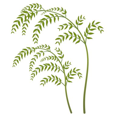 Yeşil yapraklı eğilmiş dal. Dalların sarkık şekli. El Çizimi.