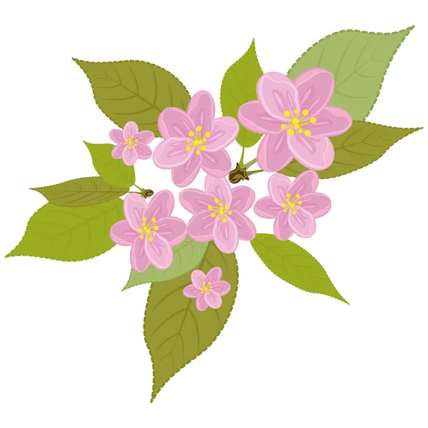 Uma coroa floral de flores cor-de-rosa com folhas. Realista desenhado à mão. Flores de cerejeira — Fotografia de Stock