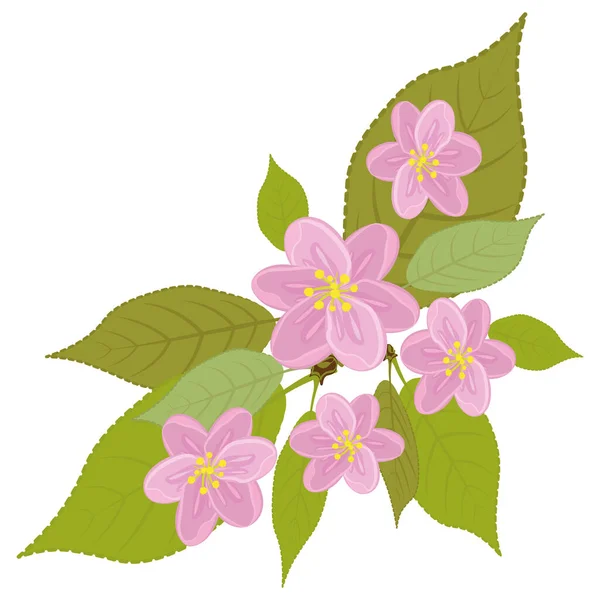 Kwiaciarnia wieniec różowych kwiatów z liśćmi. Ręcznie rysowane. Kwiatostany wiśni — Zdjęcie stockowe