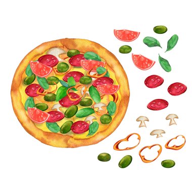 Suluboya elle yapılmış pizza malzemesi. Resimler beyaz arkaplanda izole edildi. Pizza Mantarı Zeytin Biber Basili Sosis Sosis Domatesler Gerçekçi Ayarlar