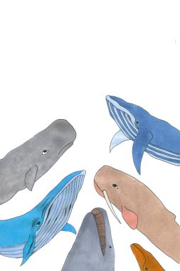 Mavi balina, kakalot, deniz gergedanı, beyaz balina gibi farklı türde balinaların bileşimi. İşaretli illüstrasyon. Bir kartpostal, hatıra, dekor için resim