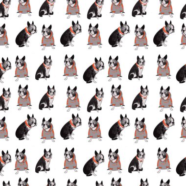 Boston Teriyer köpeği, şirin köpeklerle renksiz desenli. Kağıt ve baskı için dijital illüstrasyon