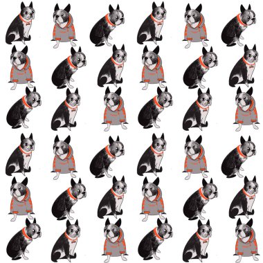 Boston Teriyer köpeği, şirin köpeklerle renksiz desenli. Kağıt ve baskı için dijital illüstrasyon
