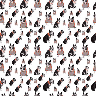 Boston Teriyer köpeği, şirin köpeklerle renksiz desenli. Kağıt ve baskı için dijital illüstrasyon