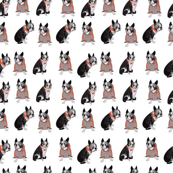 Boston Teriyer köpeği, şirin köpeklerle renksiz desenli. Kağıt ve baskı için dijital illüstrasyon