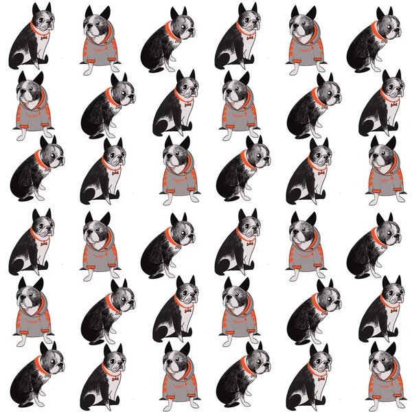 Boston terrier dog seamless pattern colorful with cute dogs. digital illustration for paper, print