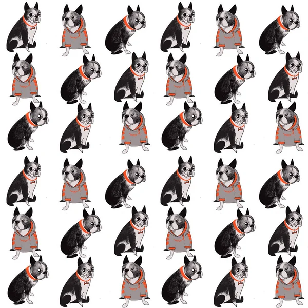 보스턴 테리어의 물갈퀴없는 패턴은 귀여운 개들로 다채롭습니다 인쇄물을 디지털 일러스트 — 스톡 사진