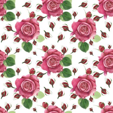 Kırmızı güllü botanik çiçekleri. Beyaz arka planda suluboya romantik çiçekler. Davetiye, düğün ya da tebrik kartları, tekstil ve ambalaj kağıtları için taze narin tasarım