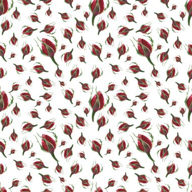 Botanical floral background with red rose buds. Watercolor romantic flowers on a white background. Fresh delicate design for invitation, wedding or greeting cards, textiles, wrapping paper